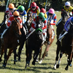 日本中央競馬会