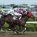 全国公営競馬主催者協議会